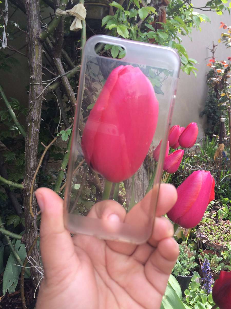 2014-04-20 11-47-54.JPG